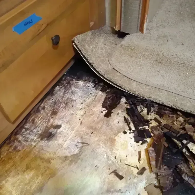 Best Wood Floor Water Damage Service in Saint Pete Beach, FL